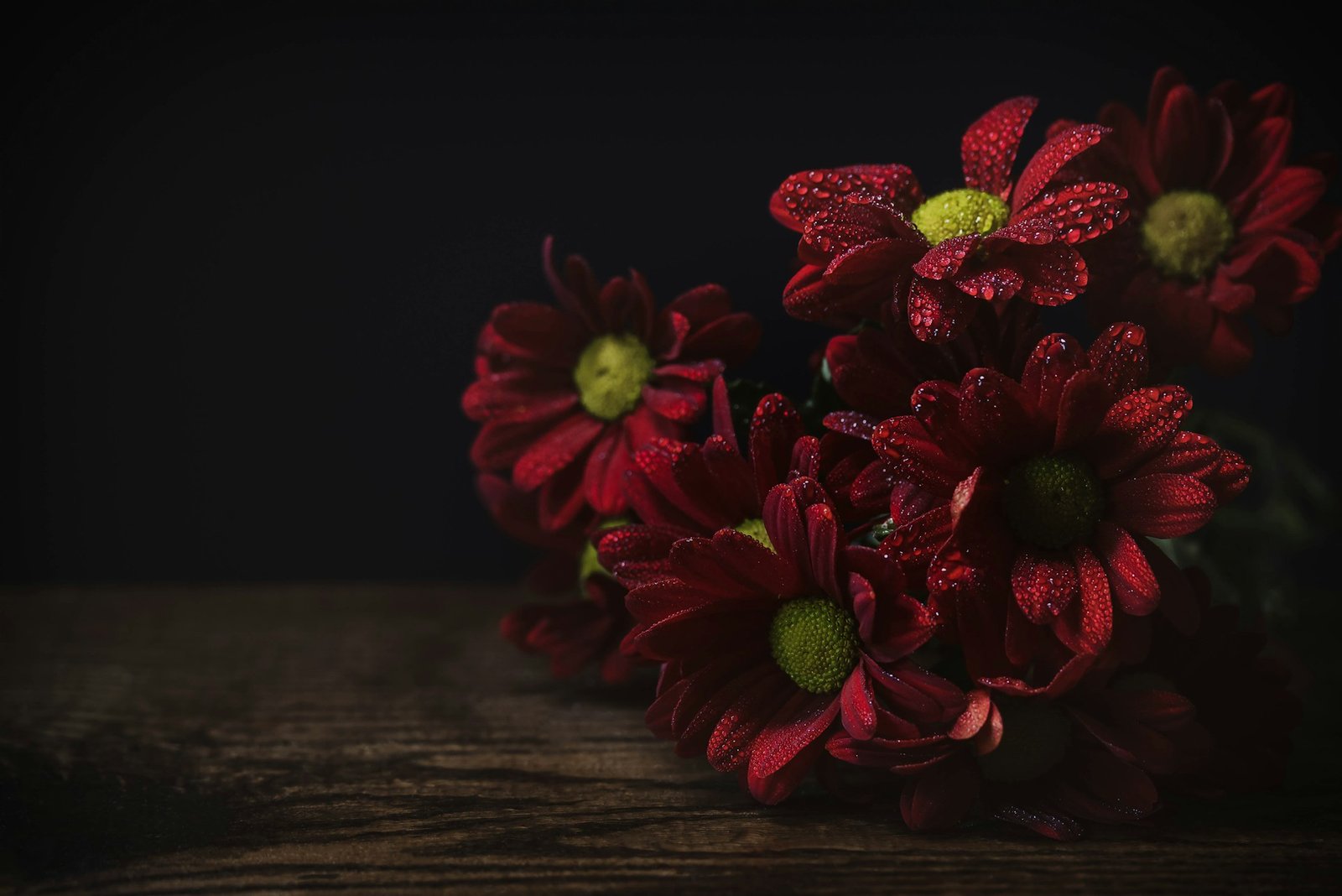 Quais São as Flores Mais Usadas para Apresentar